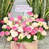 Giỏ hoa tươi sinh nhật Giồng Trôm